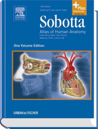 Image of Sobotta : Atlas of Human Anatomy : Head, Neck, Upper Limb, Thorax, Abdomen, Pelvis, Lower Limb
