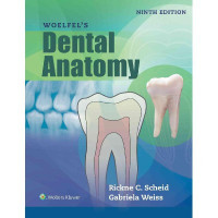 Image of Woelfel's Dental Anatomy